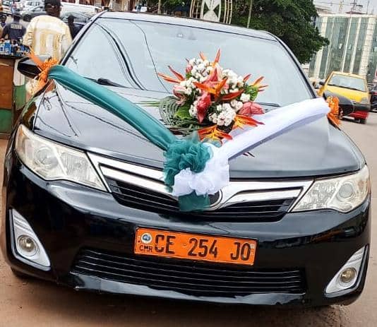 TOYOTA CAMRY - image 1